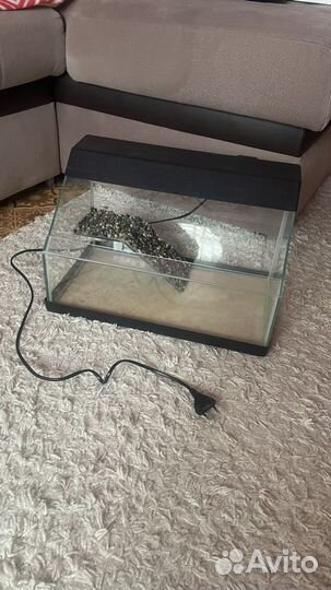 Террариум для черепахи