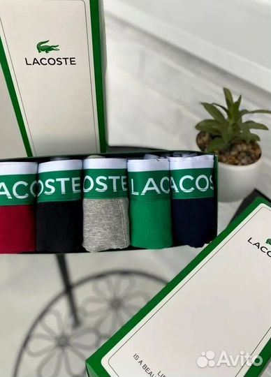 Мужские трусы Lacoste
