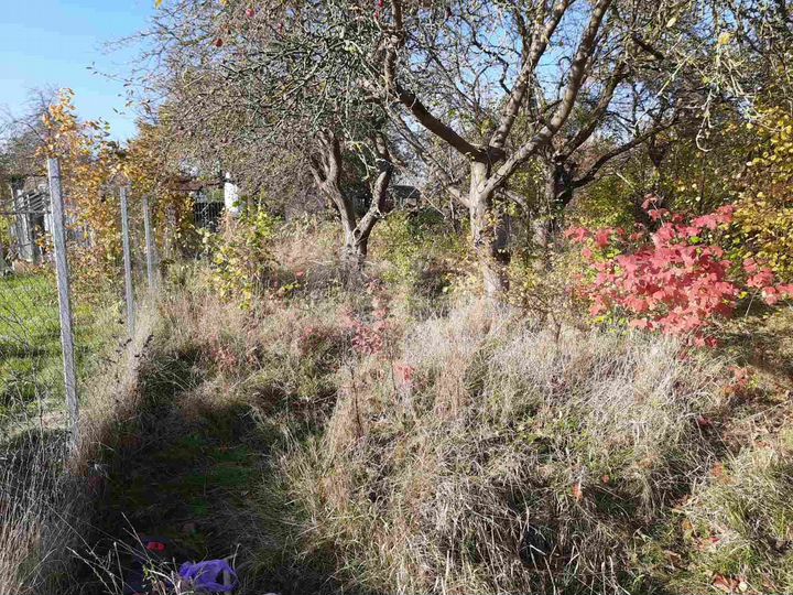 Участок 4 сот. (СНТ, ДНП)