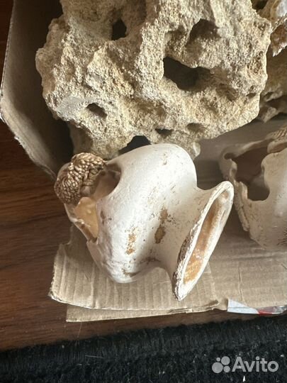 Песчанник для аквариума