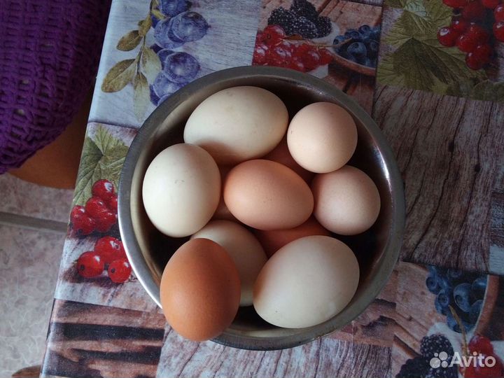 Продам мясо бройлера