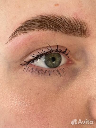 Мастер бровист