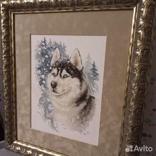 Хаски вышитая картина в багете