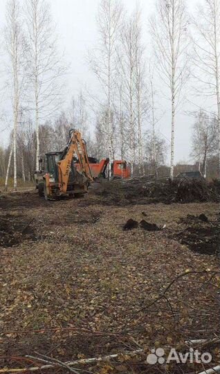 Спил деревьев, вывоз деревьев, расчистка участков