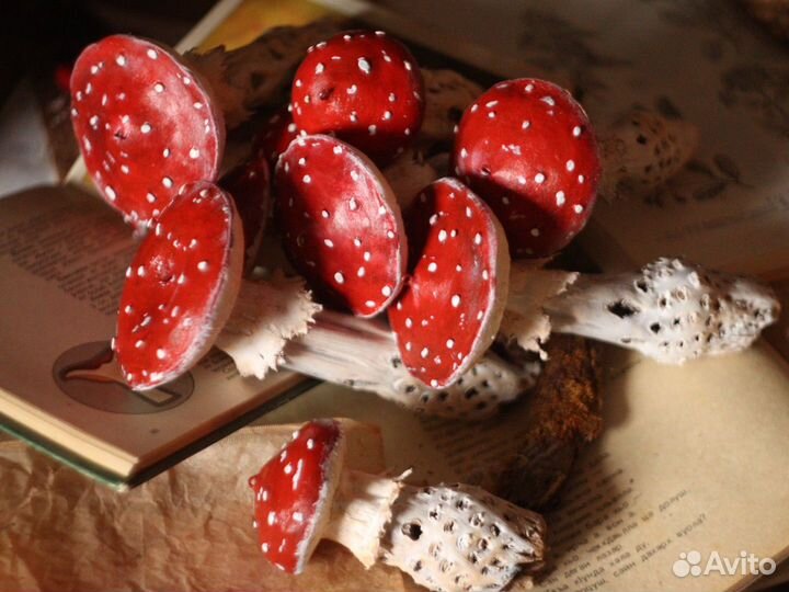 Грибы из полимерной глины