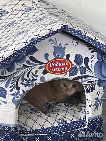 Домик для котика