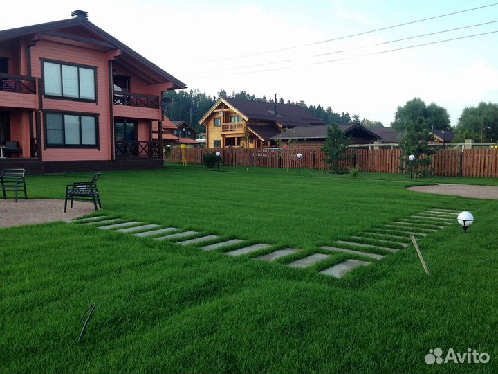 Продажа Рулонного газона, производитель