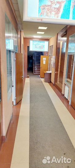 Сдам кушетку в аренду