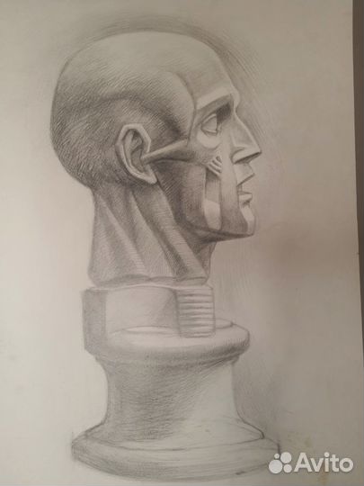 Академический рисунок. Экорше