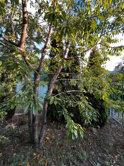 Дача 66 м² на участке 6,3 сот.