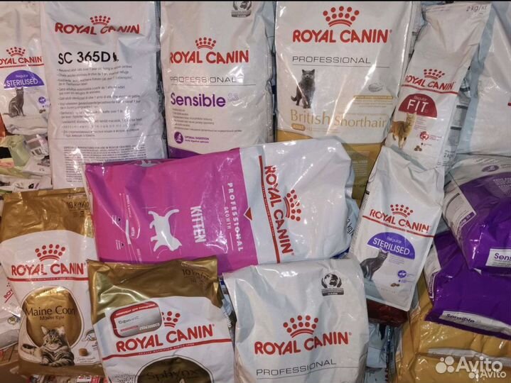 Корм для кошек royal canin