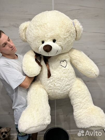 Большие плюшевые медведи