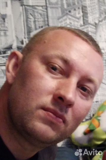 Главный конструктор, руководитель проекта