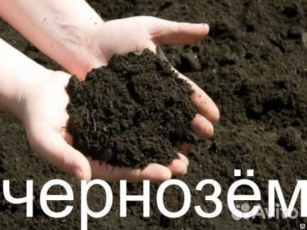 Чернозем, Перегной, Навоз, Грунт плодородный