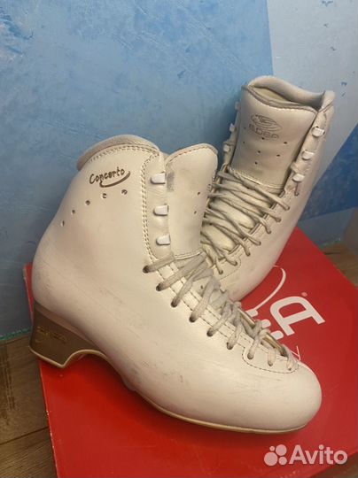 Фигурные коньки Edea Concerto 245 (36-37)