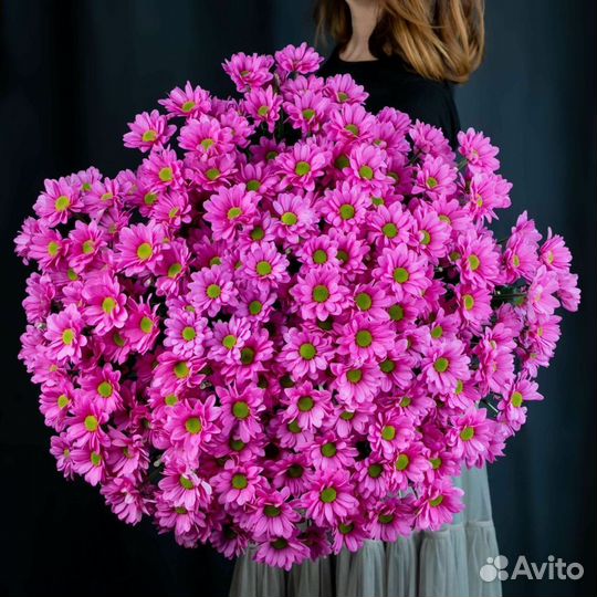 Куст. хризантема