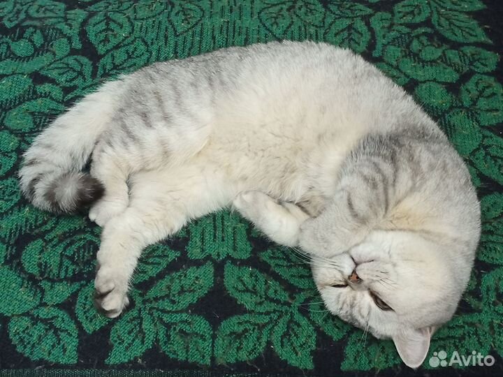 Котик для вязки