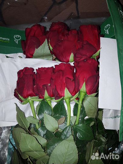 Цветы розы букет