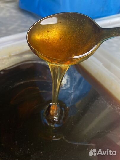 Мед гречишный 2024 оптом