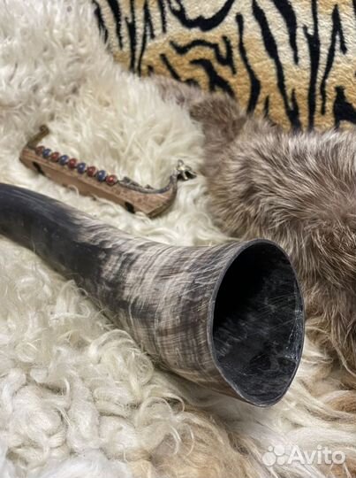 Рог буйвола, шкура овцы, хвост лисы, драккар