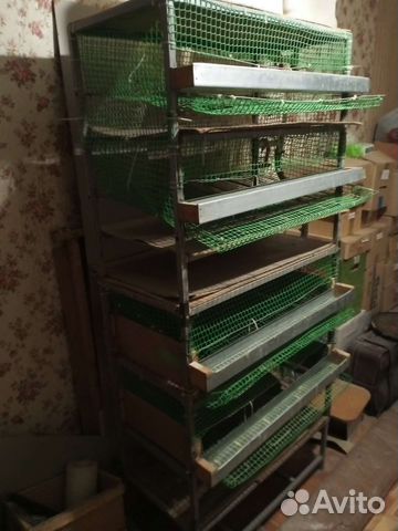 Клетки для перепелов