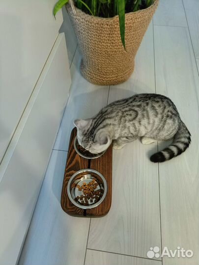 Миска для кошек на деревянной подставке