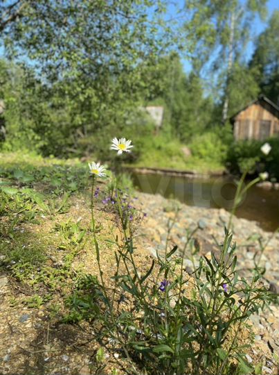 Дом 36 м² на участке 10 га