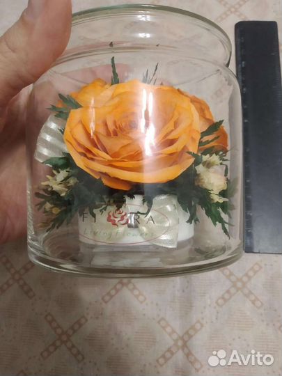 Живые цветы на 5 лет