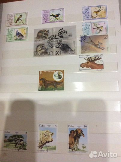 Альбом с марками 2