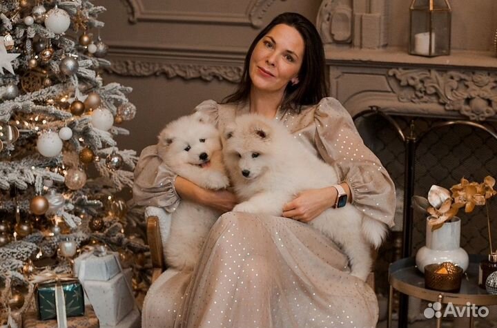 Девочка самоеда