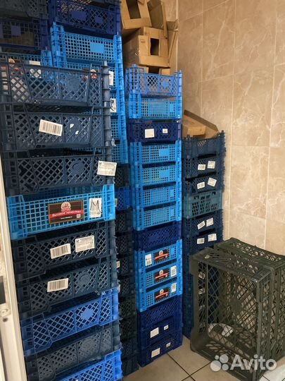 Ящик пластик для овощей