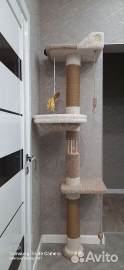 Когтеточка с домиком