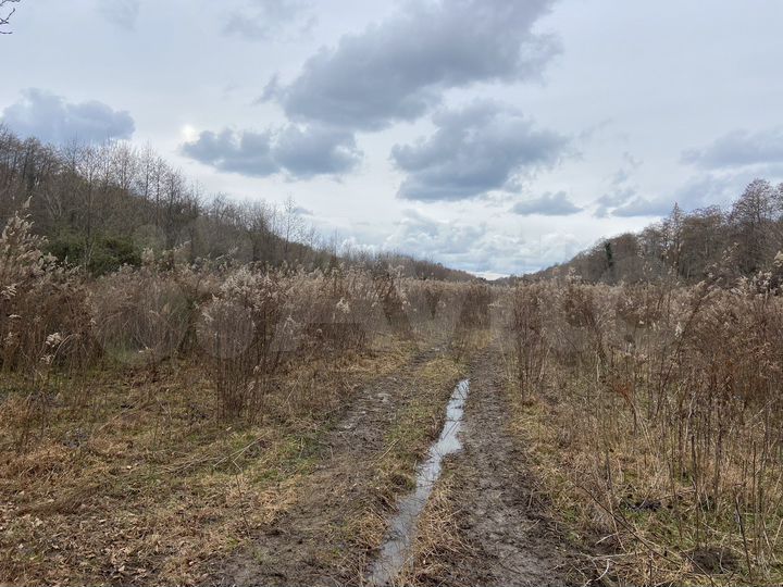Участок 120000 м² (Абхазия)
