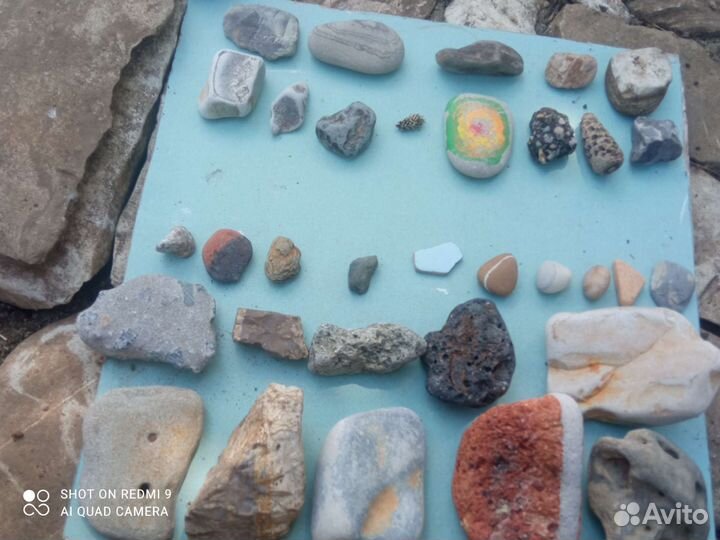 Находки с моря