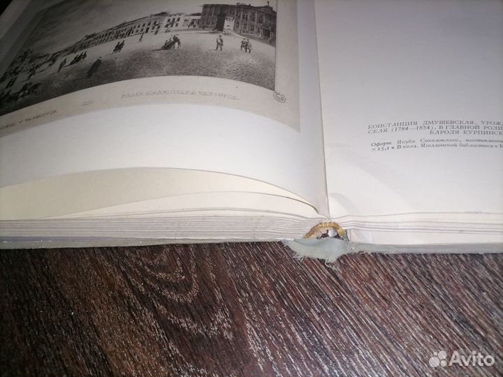 Шопен на родине