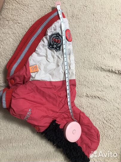 Одежда для собак