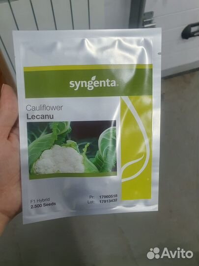 Семена капуста Лекану цветная 2 500с Сингента
