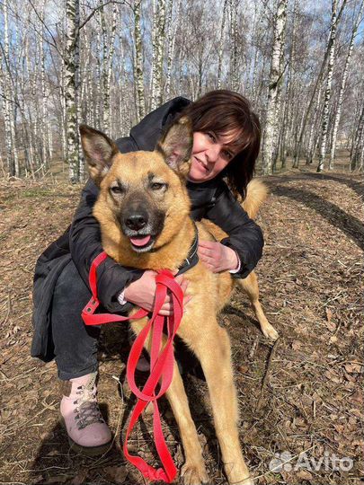 Очаровательный Тобиас мечтает о семье и доме