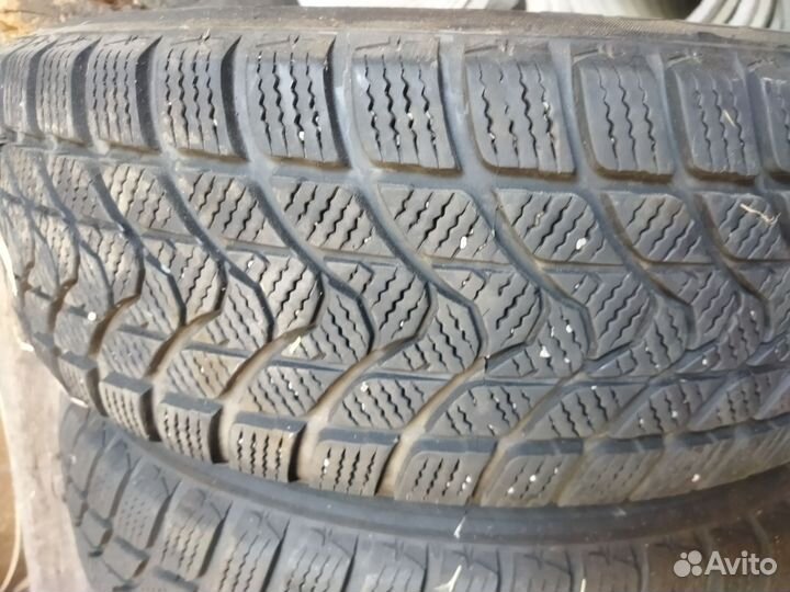 Delinte WD1 195/65 R15