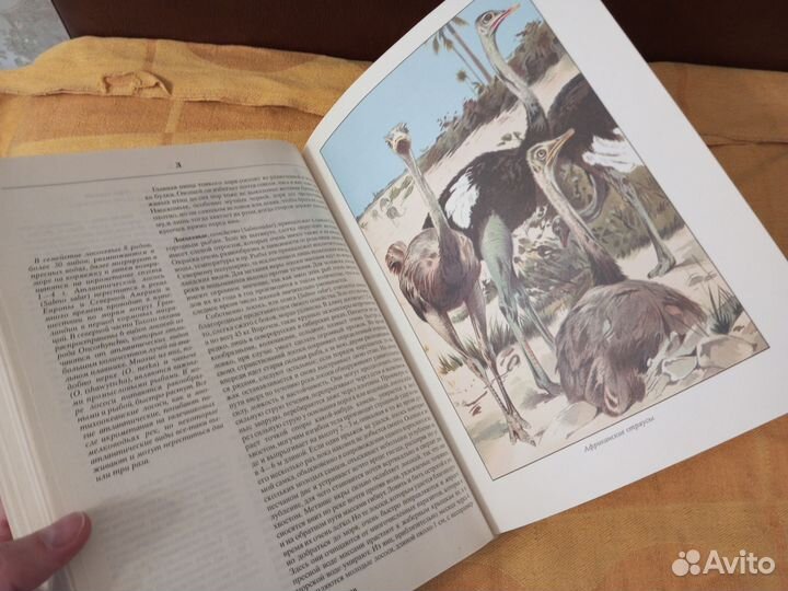 Альфред Брем Жизнь животных