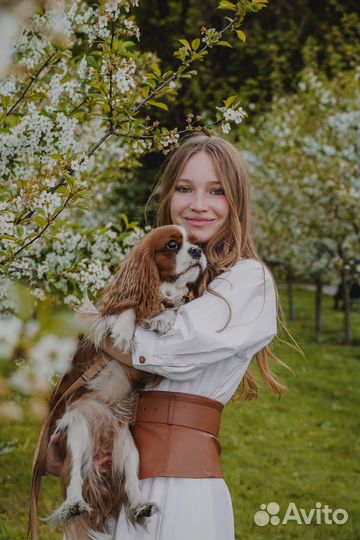 Фотограф анималист