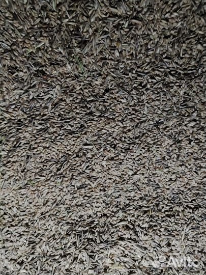 Продажа зерна