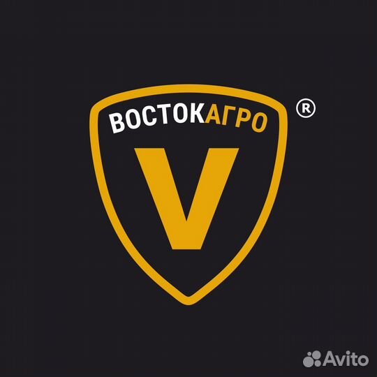 Бухгалтер - ревизор