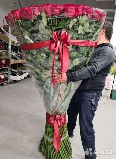 Высокие розы Гигантские розы Доставка цветов