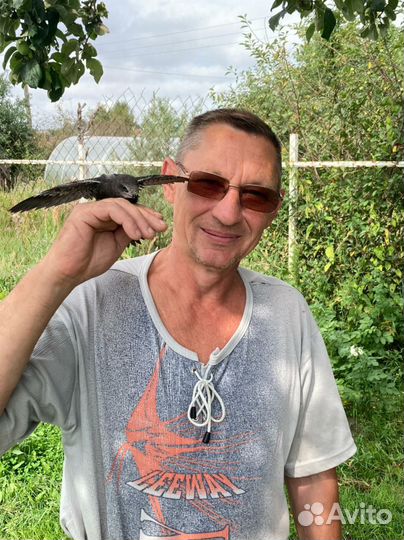 Услуги электрика