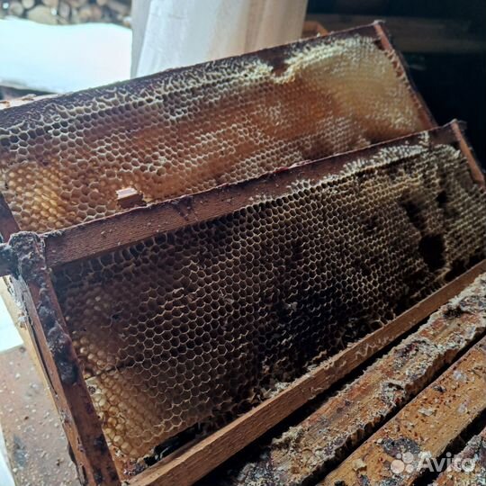 Сушь для пчел