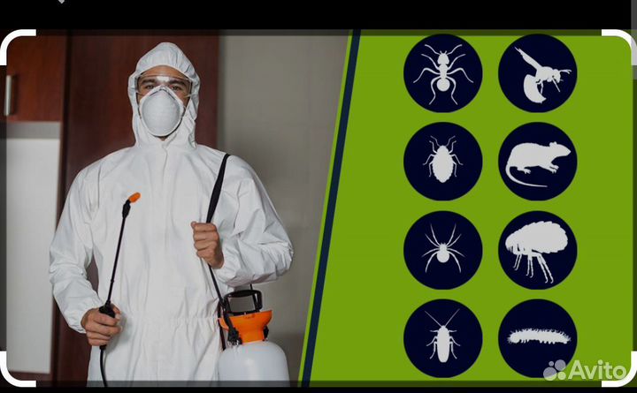 Дезинсекция от тараканов и клопов