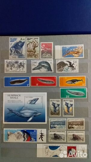 Почтовые марки 