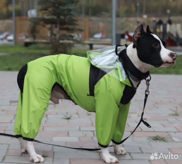 Дождевик для крупной собаки