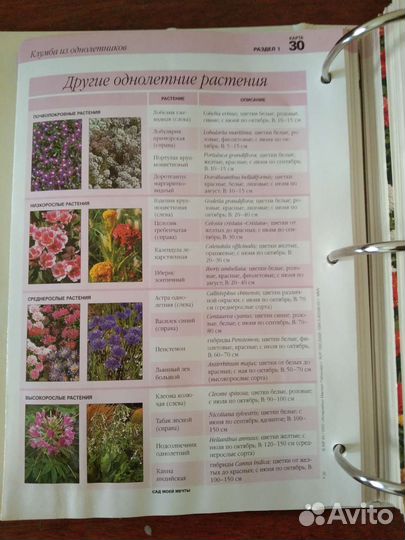 Справочник Сад Моей Мечты